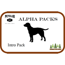 Alpha Intro Pack International